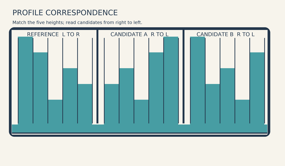 Ribbon profile correspondence